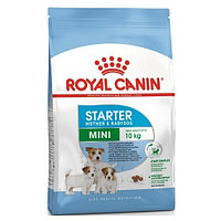 Корм ROYAL CANIN Mini Starter 3кг для щенков в период отъема до 2х месяцев