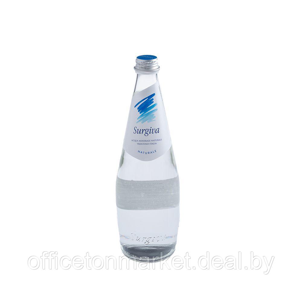 Вода минеральная природная питьевая «Surgiva», 0.75 л., негазированная, 12 бут/упак - фото 2 - id-p196862016