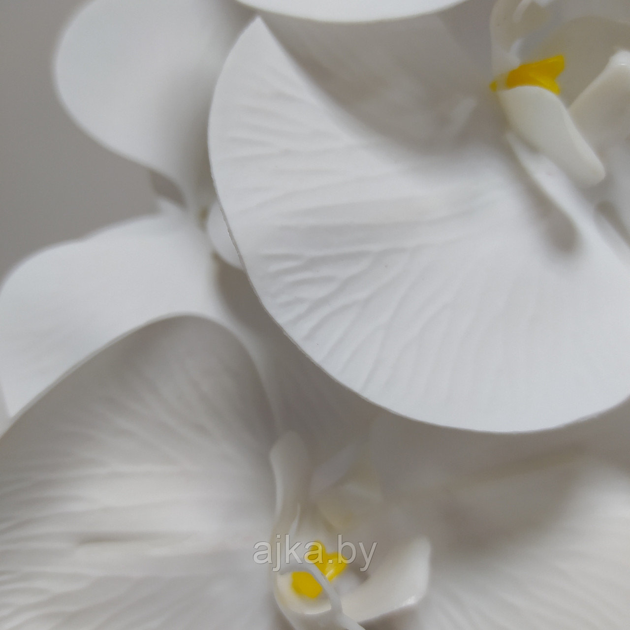 Орхидея Фаленопсис латекс 91 см, белая - фото 5 - id-p179918214