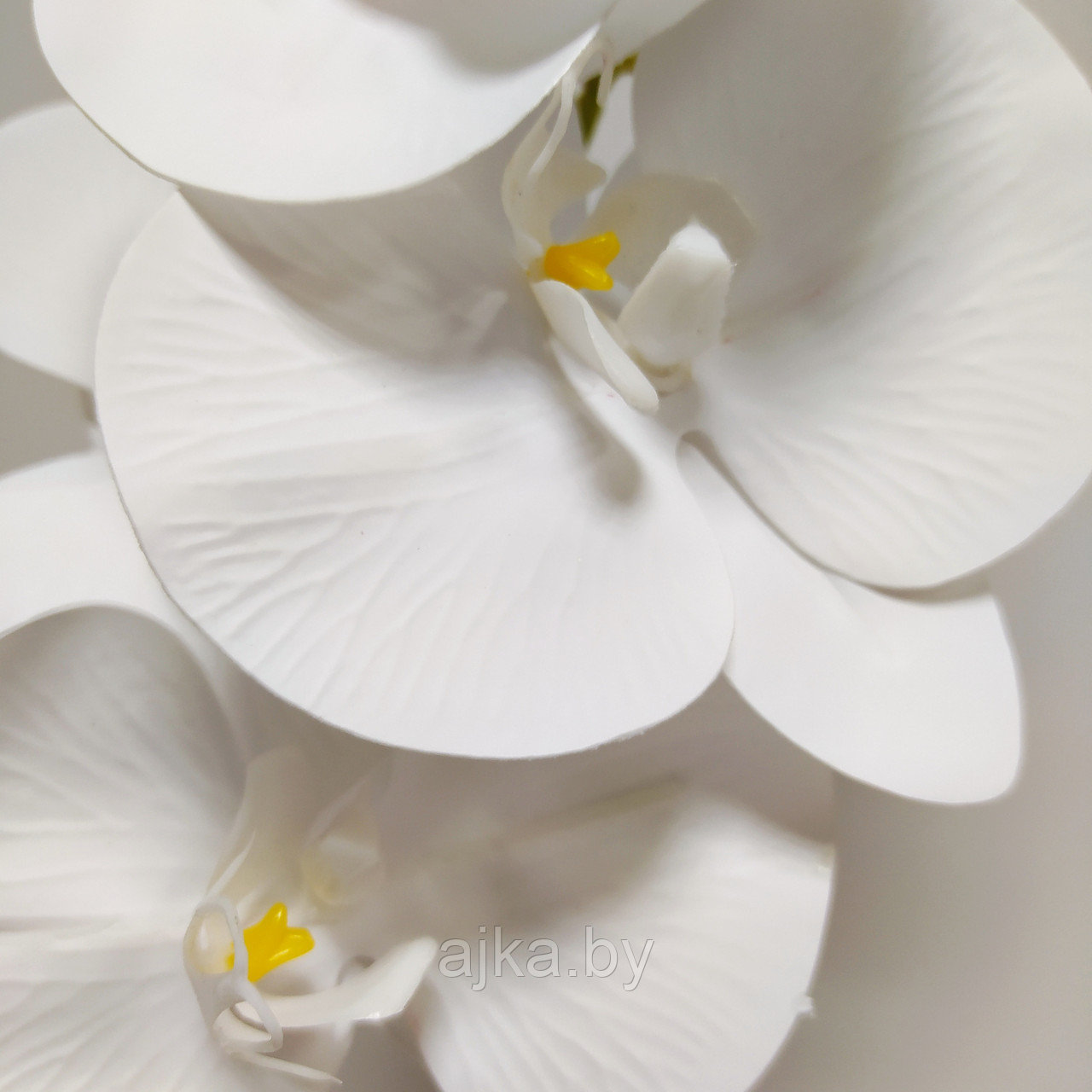 Орхидея Фаленопсис латекс 91 см, белая - фото 3 - id-p179918214