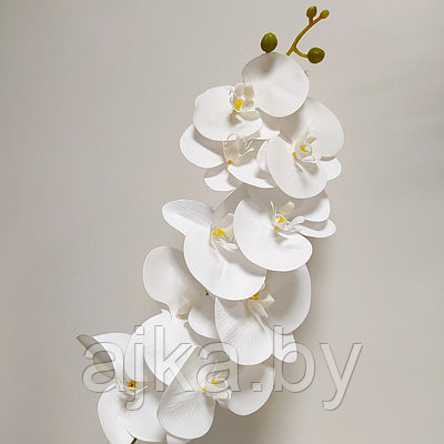 Орхидея Фаленопсис латекс 91 см, белая