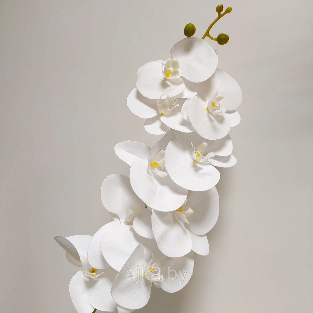 Орхидея Фаленопсис латекс 91 см, белая - фото 1 - id-p179918214