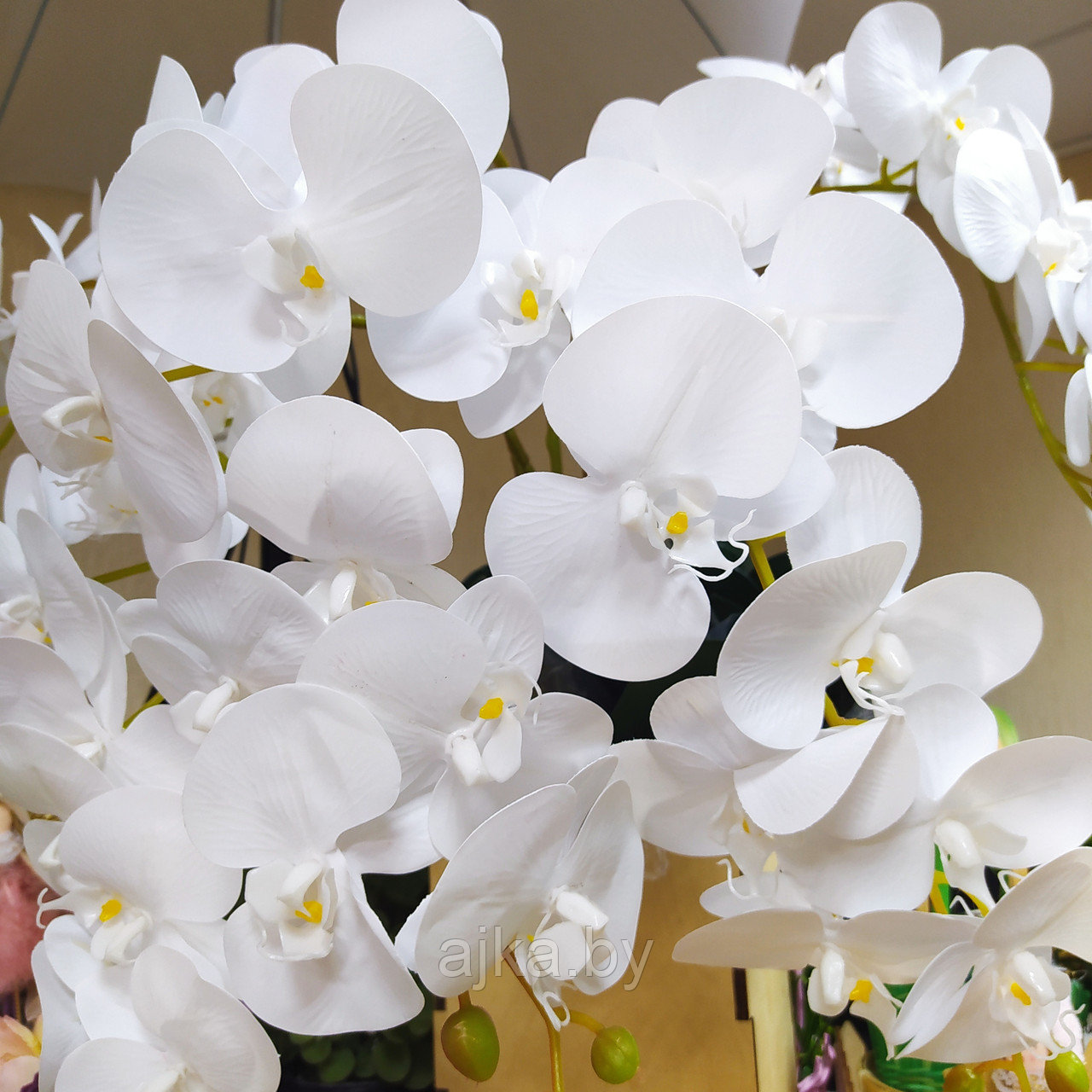 Орхидея Фаленопсис латекс 91 см, белая - фото 7 - id-p179918214