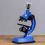 Микроскоп, кратность увеличения 600х, 300х, 100х, с подсветкой, 2АА, синий, фото 2