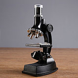 Микроскоп, кратность увеличения 900х, 600х, 300х, 100х, с подсветкой, набор для исследований, фото 2