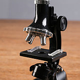 Микроскоп, кратность увеличения 900х, 600х, 300х, 100х, с подсветкой, набор для исследований, фото 6