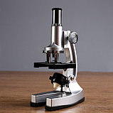 Микроскоп, кратность увеличения 450х, 200х, 100х, с подсветкой, 2АА, фото 2