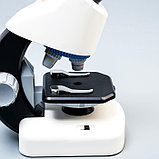 Микроскоп "Юный биолог" кратность до х1200, белый, подсветка, фото 5