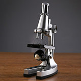 Микроскоп с проектором, кратность увеличения 50-1200х, с подсветкой, 2АА, фото 2