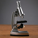 Микроскоп с проектором, кратность увеличения 50-1200х, с подсветкой, 2АА, фото 4