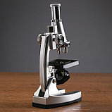 Микроскоп с проектором, кратность увеличения 50-1200х, с подсветкой, 2АА, фото 5