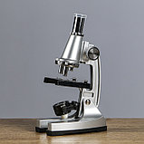 Микроскоп с проектором, кратность увеличения 50-1200х, с подсветкой,, фото 3