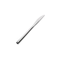 Pintinox (Италия) Нож десертный Арктик 18/10 3 мм 20 см. Pinti (2030M003) /12/