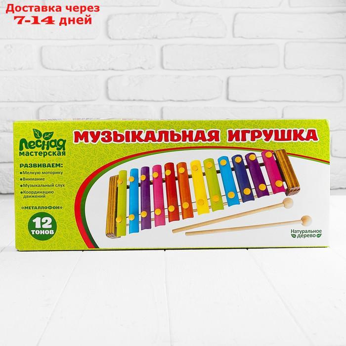 Игрушка музыкальная Металлофон, 12 тонов - фото 3 - id-p197862293