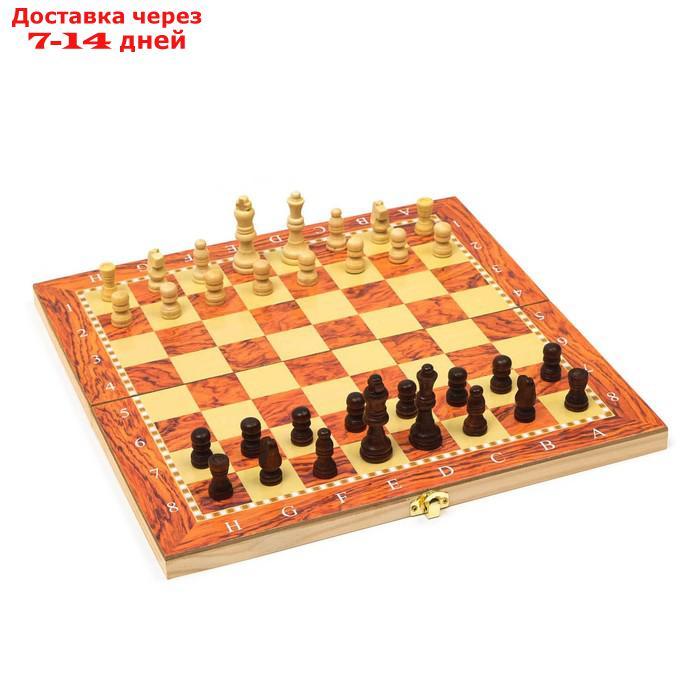 Настольная игра, набор 3 в 1 "Падук": нарды, шахматы, шашки, доска  34х34 см