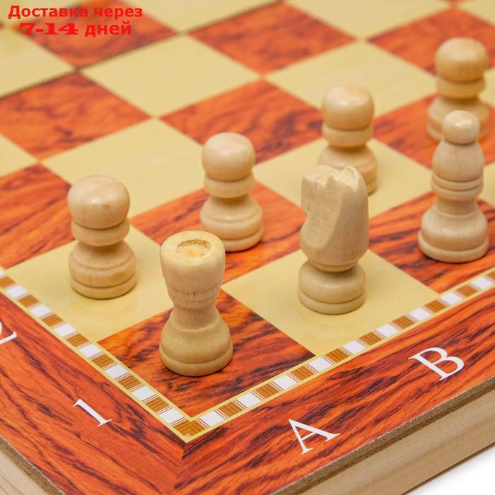 Настольная игра, набор 3 в 1 "Падук": нарды, шахматы, шашки, доска 34х34 см - фото 3 - id-p197862425