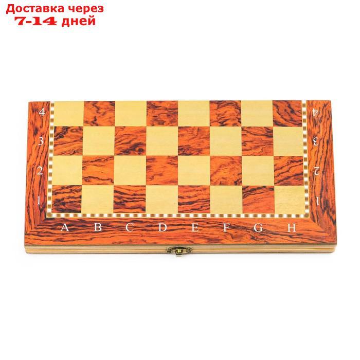 Настольная игра, набор 3 в 1 "Падук": нарды, шахматы, шашки, доска 34х34 см - фото 7 - id-p197862425