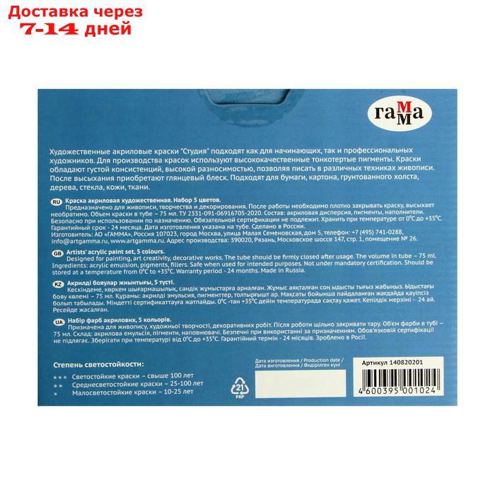Краска акриловая в тубе, набор 5 цветов х 75 мл, Гамма "Студия" морозостойкая, в картонной коробке - фото 4 - id-p197866034