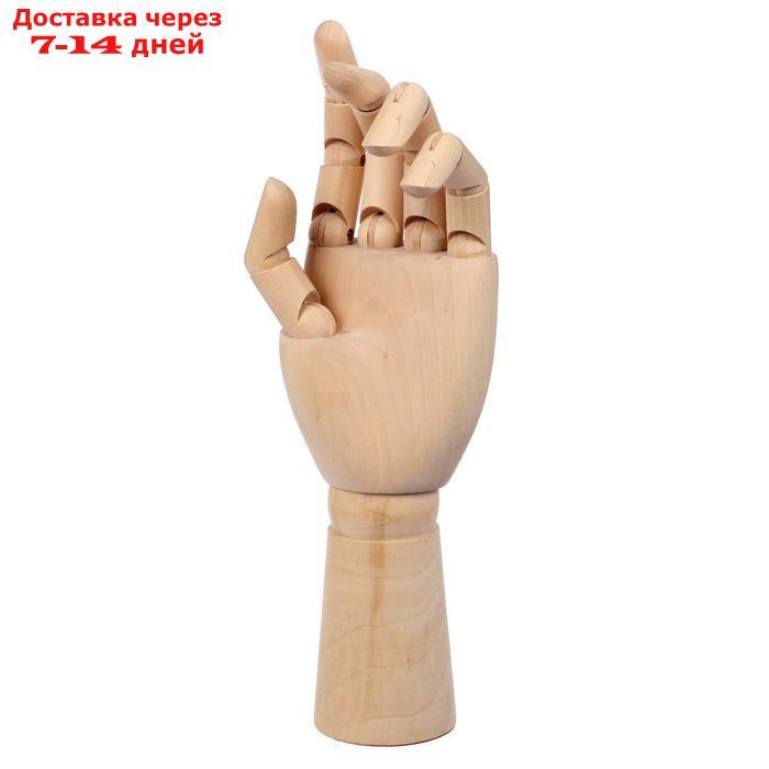 Деревянная фигура Анатомические детали: Рука левая мужская, высота 31 см - фото 1 - id-p197862984