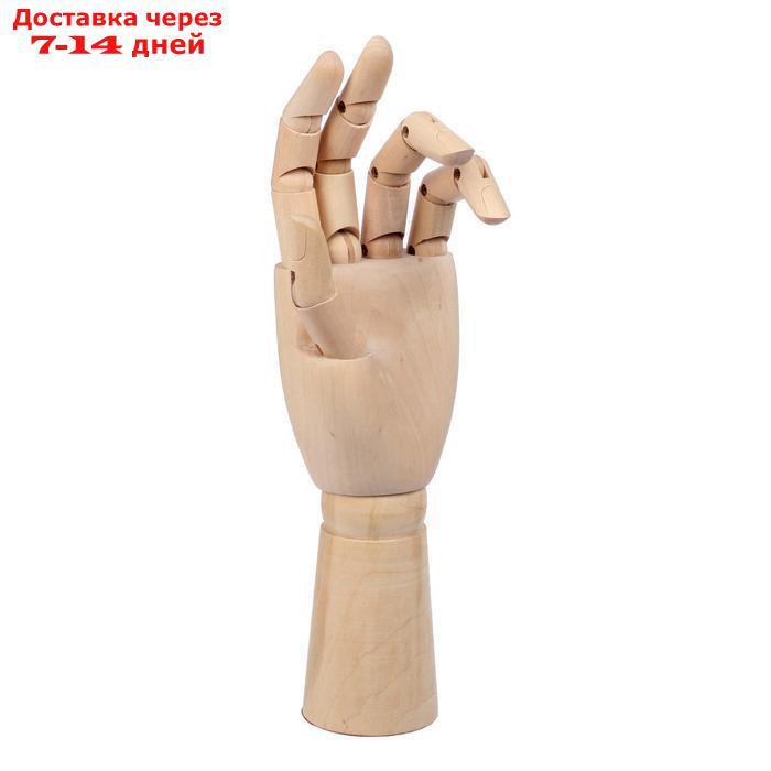 Деревянная фигура Анатомические детали: Рука левая мужская, высота 31 см - фото 2 - id-p197862984