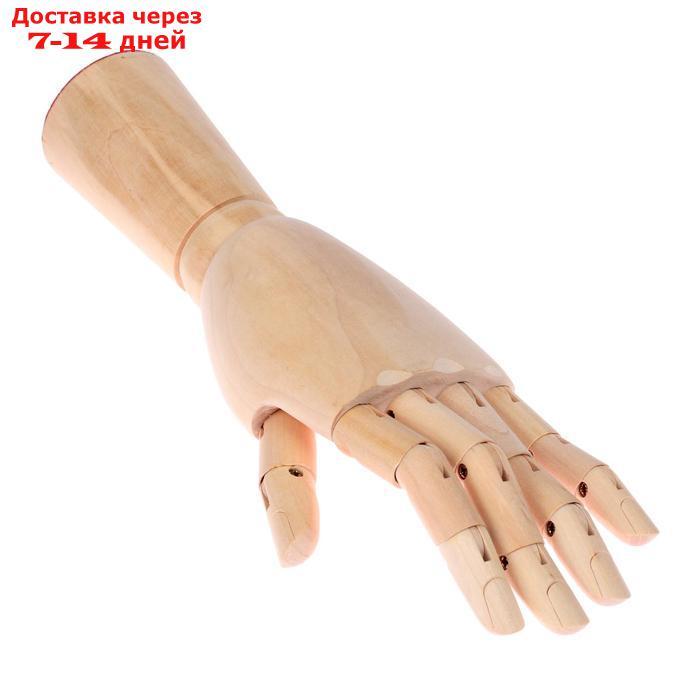 Деревянная фигура Анатомические детали: Рука левая мужская, высота 31 см - фото 3 - id-p197862984