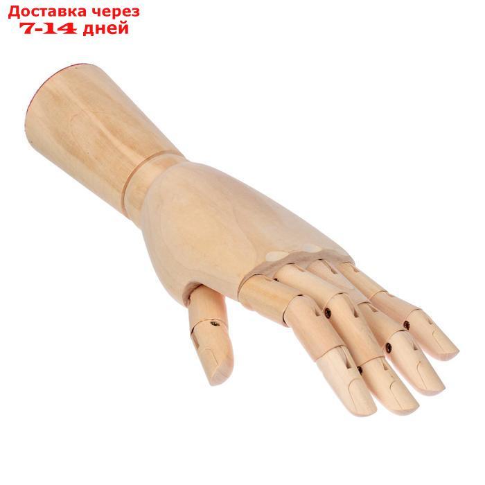 Деревянная фигура Анатомические детали: Рука левая мужская, высота 31 см - фото 4 - id-p197862984