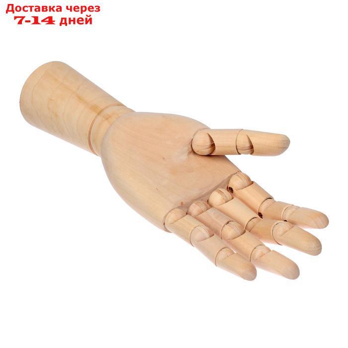Деревянная фигура Анатомические детали: Рука левая мужская, высота 31 см - фото 5 - id-p197862984