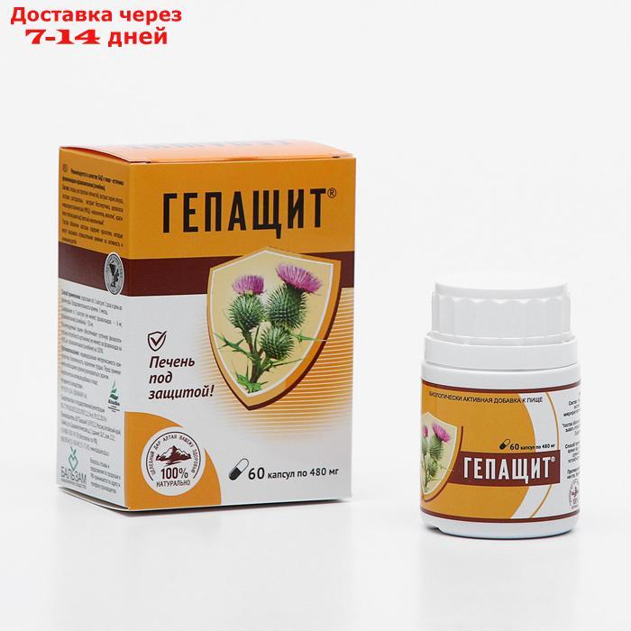 Фитосбор "Гепащит", здоровая печень, 60 капсул по 0,48 г - фото 1 - id-p197863062