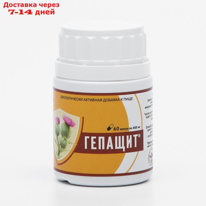 Фитосбор "Гепащит", здоровая печень, 60 капсул по 0,48 г - фото 2 - id-p197863062