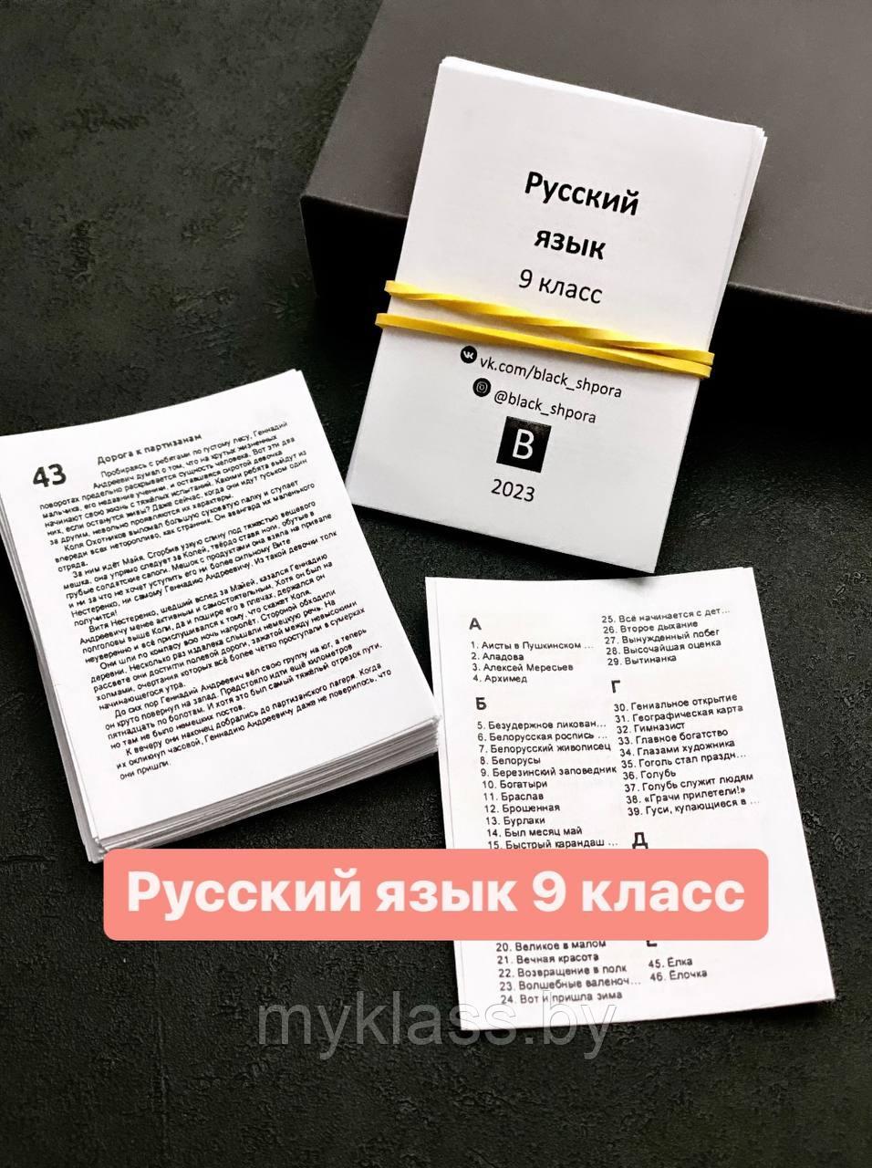 Русский язык 9 класс 2023