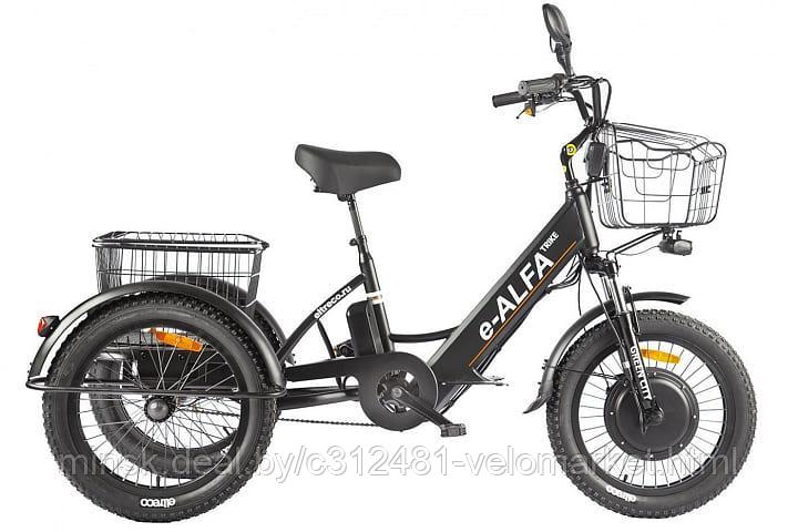 Электровелосипед (велогибрид) GREEN CITY e-ALFA Trike - фото 2 - id-p197997555