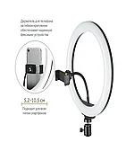 Кольцевая лампа 33 см LED + штатив 220см + держатель телефона + Bluetooth селфи-пульт +ПОДАРОК, фото 6