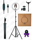 Кольцевая лампа 33 см LED +Штатив 210см + Держатель телефона (Светодиодные лампы для селфи) +ПОДАРОК, фото 8