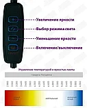 Кольцевая лампа 33 см LED +Штатив 210см + Держатель телефона (Светодиодные лампы для селфи) +ПОДАРОК, фото 6