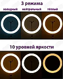 Кольцевая лампа 33 см LED + штатив 220см + держатель телефона + Bluetooth селфи-пульт +ПОДАРОК, фото 3