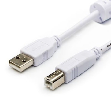 (AT8099) кабель USB 2.0 AM/BM - 3.0 м (для переферии 1 FERITE) ATCOM - фото 1 - id-p167702241