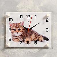 Часы-картина настенные, серия: Животный мир, "Котенок", плавный ход, 20 х 26 см