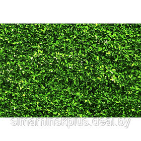 Фотобаннер, 250 × 150 см, с фотопечатью, люверсы шаг 1 м, «Зелёная изгородь»