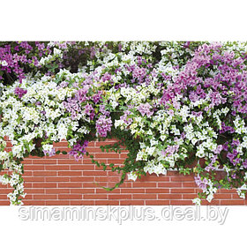 Фотобаннер, 250 × 150 см, с фотопечатью, люверсы шаг 1 м, «Весенние цветы»