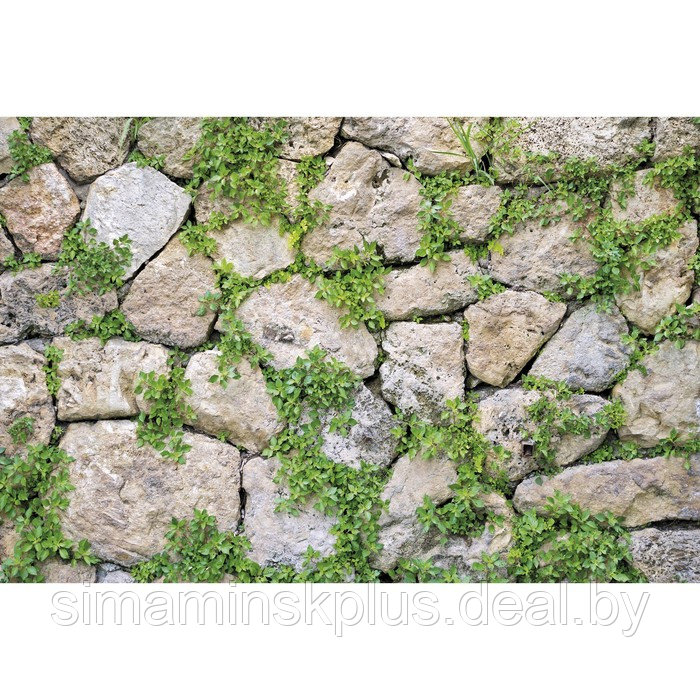 Фотобаннер, 250 × 150 см, с фотопечатью, люверсы шаг 1 м, «Каменная стена» - фото 1 - id-p198071168