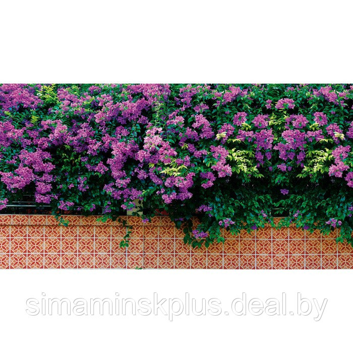 Фотобаннер, 250 × 150 см, с фотопечатью, люверсы шаг 1 м, «Фиолетовые цветы» - фото 1 - id-p198071172