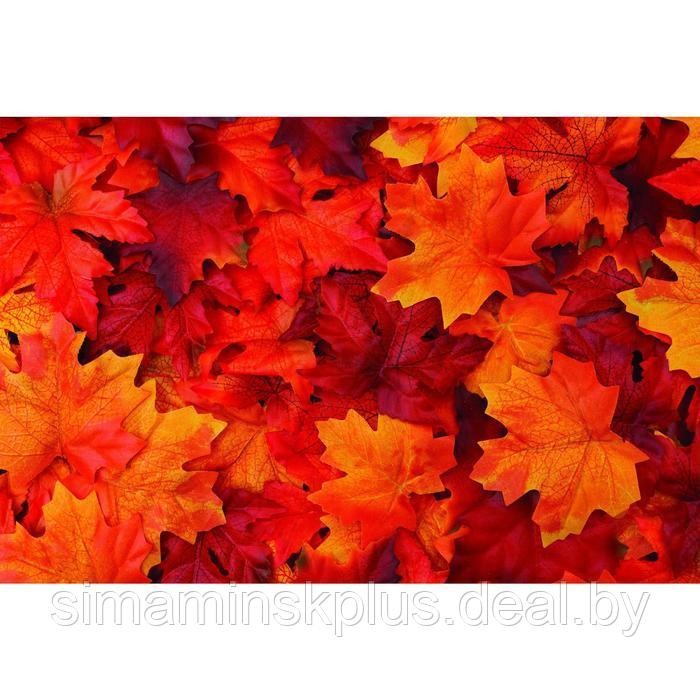 Фотобаннер, 250 × 200 см, с фотопечатью, люверсы шаг 1 м, «Осенние листья» - фото 1 - id-p198071221