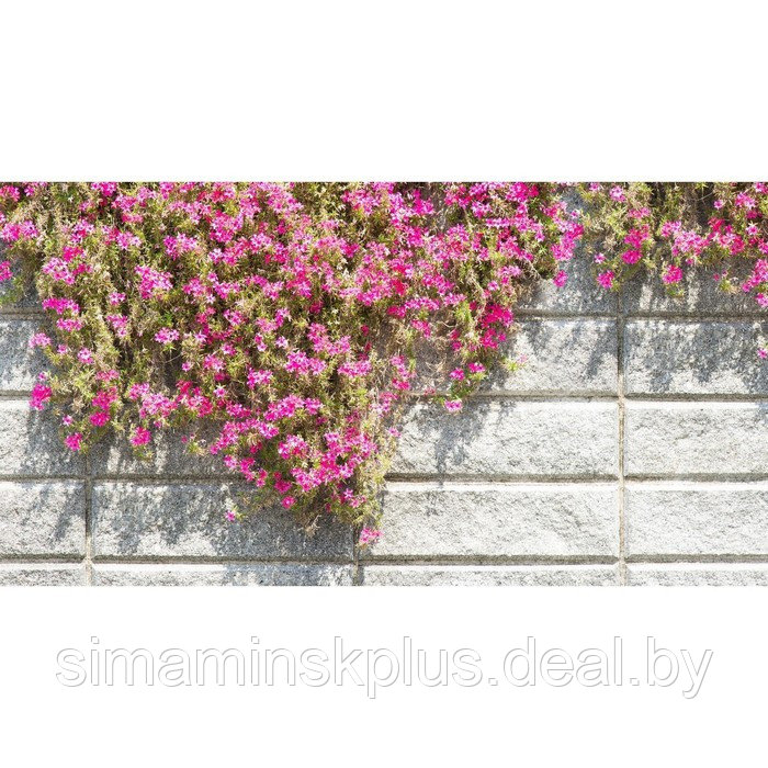 Фотобаннер, 300 × 200 см, с фотопечатью, люверсы шаг 1 м, «Стена с цветами» - фото 1 - id-p198071379