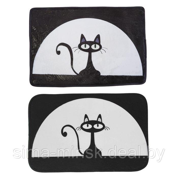 Коврик для дома Доляна «Чёрная кошка», 40×60 см, МИКС - фото 9 - id-p198073198