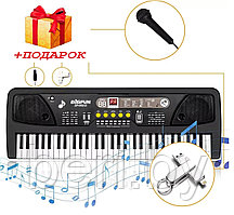 BF-830A2 Детский синтезатор Bigfun, пианино, микрофон, USB, MP3, запись, 61 клавиша