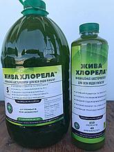 Хлорелла экстракт био удобрение жидкое для растений 1Л