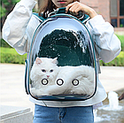 Рюкзак переноска с ПРОЗРАЧНЫМ окном для домашних животных (мелких пород собак, кошек), фото 2