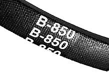 Ремень клиновой  В(Б)-850 Lp / 810 Li  (шир.-17 мм, высота -11 мм, длина-850 мм).