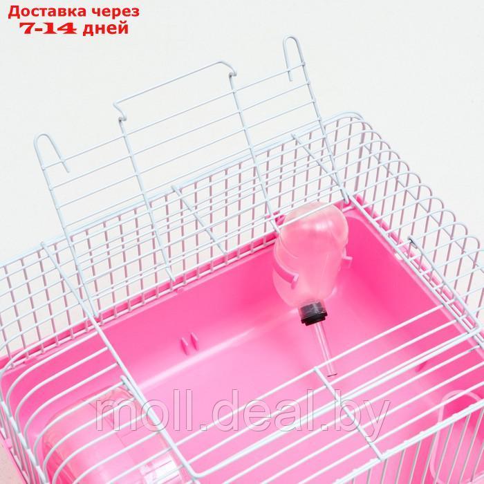 Клетка для грызунов "Пижон", 27 х 21 х 17 см, розовая - фото 4 - id-p198319853