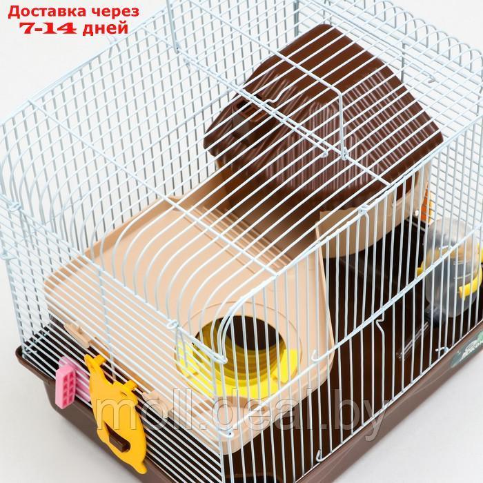 Клетка для грызунов "Пижон", двухэтажная с наполнением 31 х 24 х 29 см, коричневая - фото 4 - id-p198319864